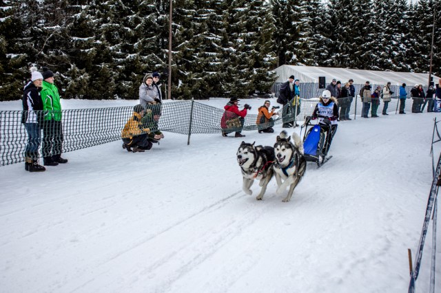 dogsleds05