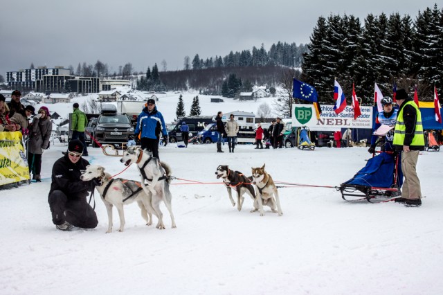dogsleds16