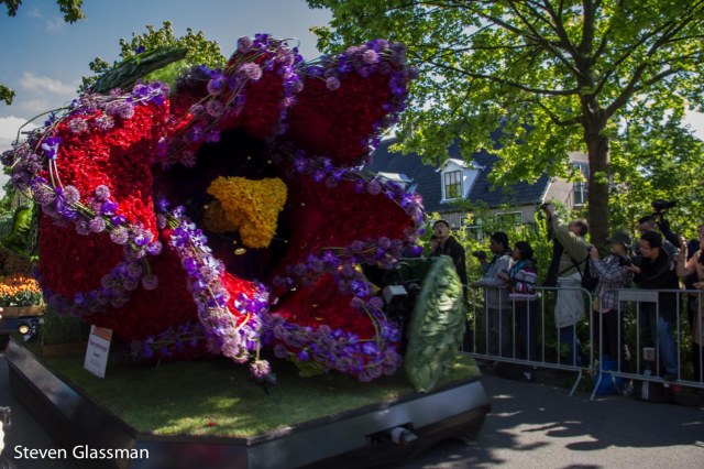 flower-parade-16