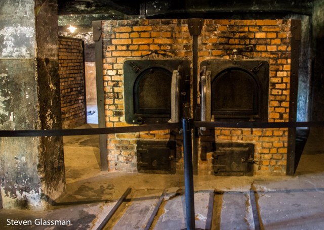 auschwitz-19