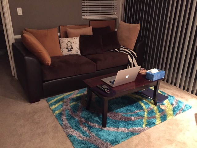 couch-and-muppet-fur