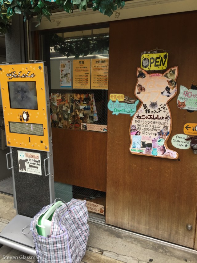 neko-cafe-1