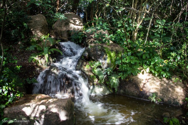 obon-lantern-festival-2015--11