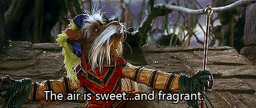 labyrinth-sweet-and-fragrant